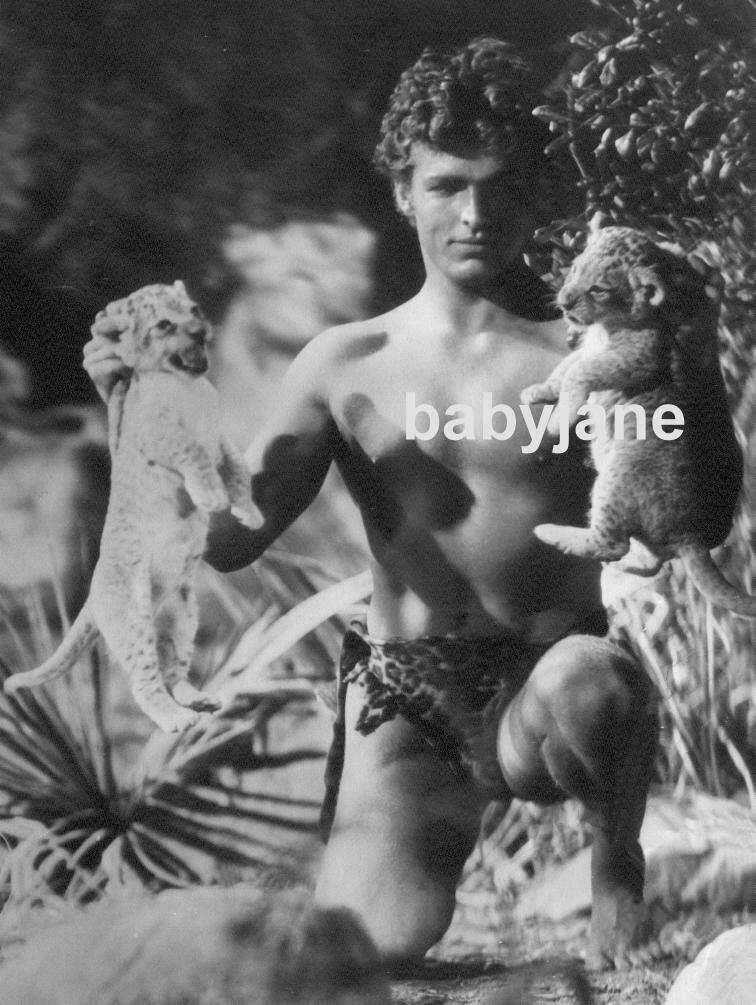 002 Buster Crabbe Barechested As Tarzan Wearing Loin Cloth W/ Leopard Cub Photo